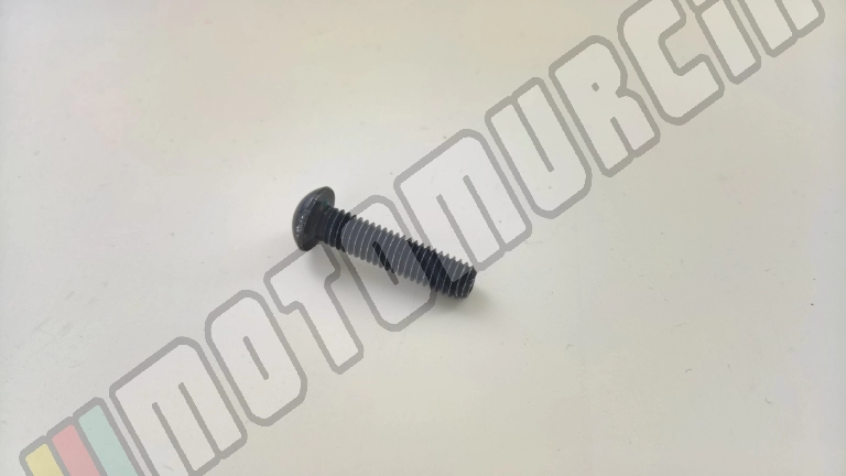 Tornillo M6