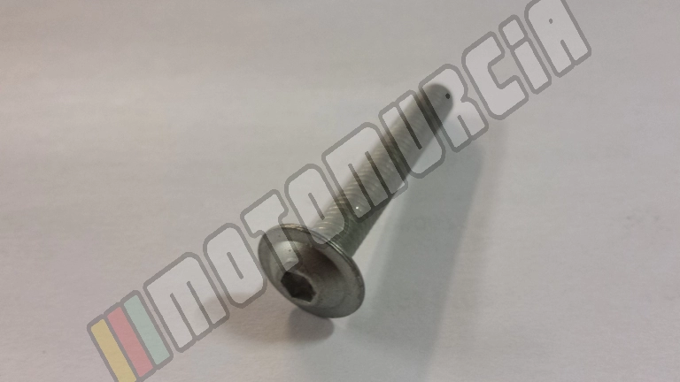 Tornillo M6X40