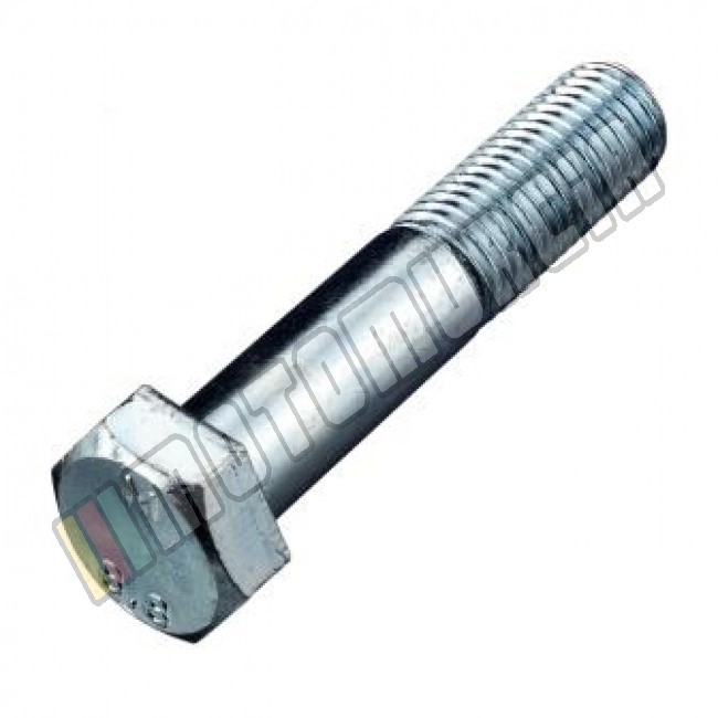 Vis M10x60
