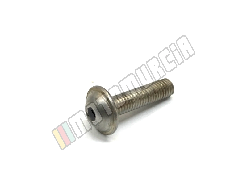 Vis M5x20, inox