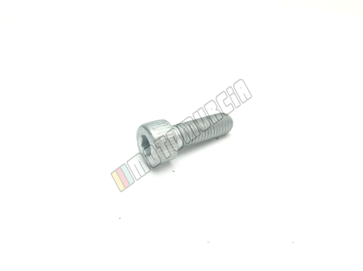 Schraube M8x25