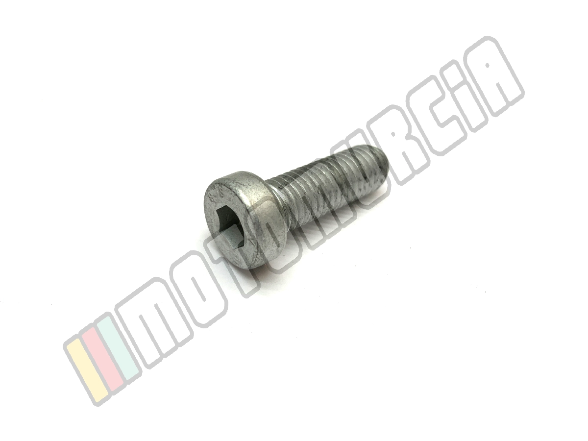 Vis M10x30