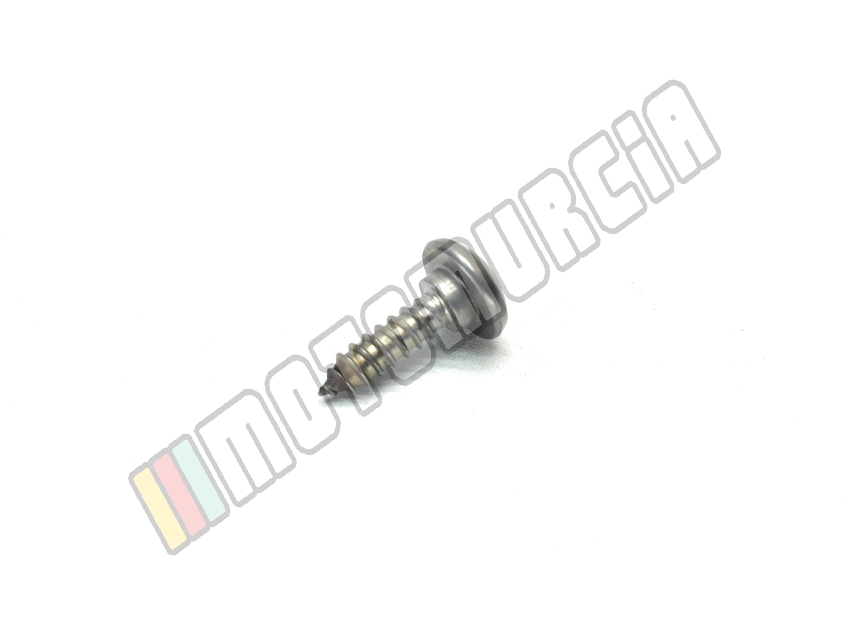 Linsenschraube 5,5x20 mm