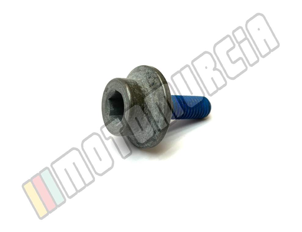 Tornillo M8X24