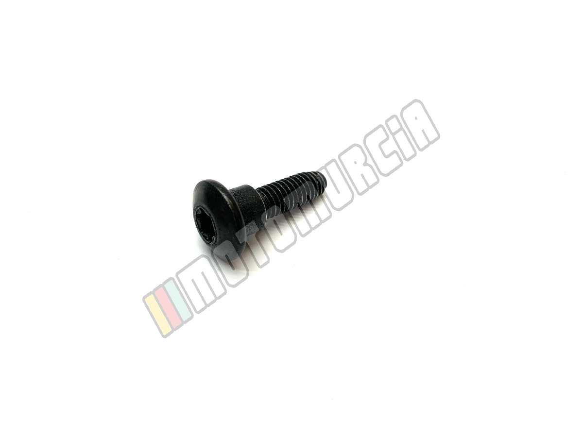 Vis M6x22