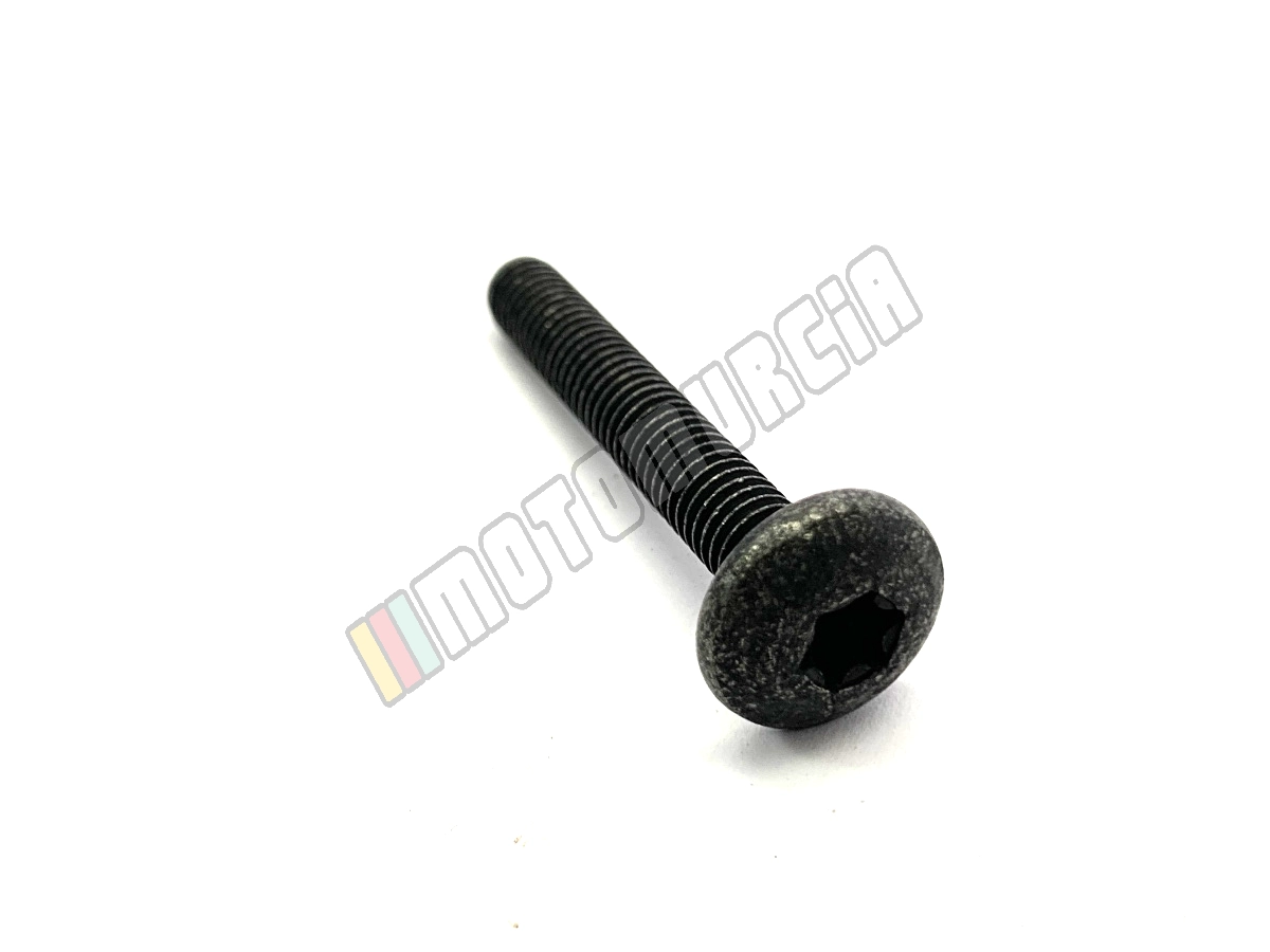 Tornillo Torx
