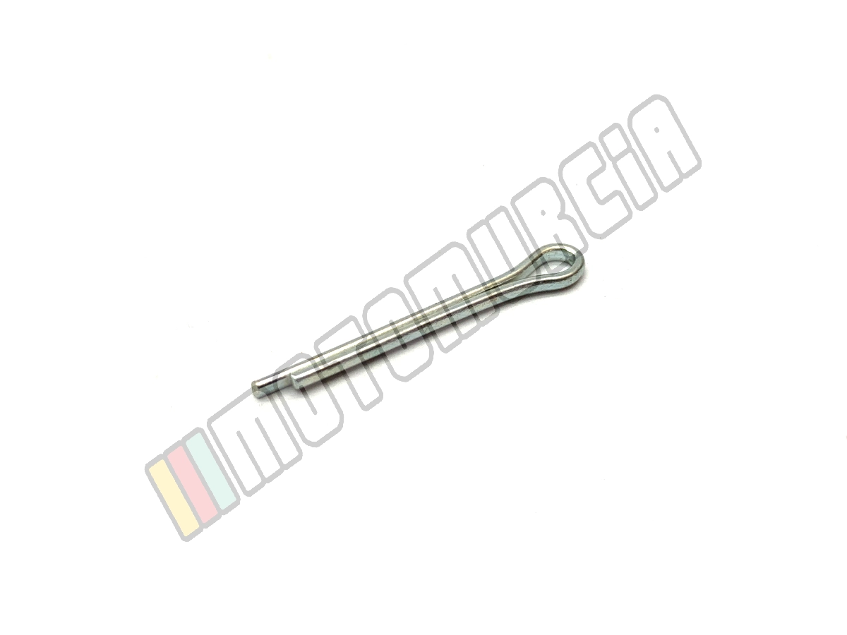 Splint