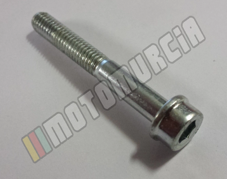 Schraube M6x45