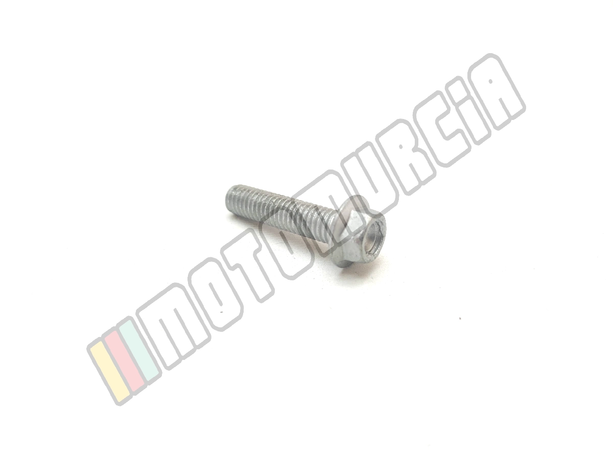 Vis avec bride M6x25