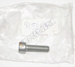 Tornillo M10X35