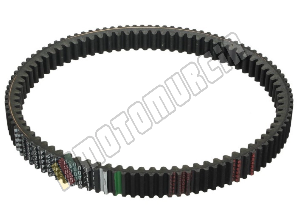 V-Belt