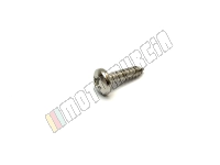 Vis à tête bombée 5,5x22 mm