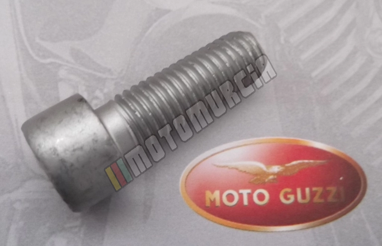 Tornillo M10X30