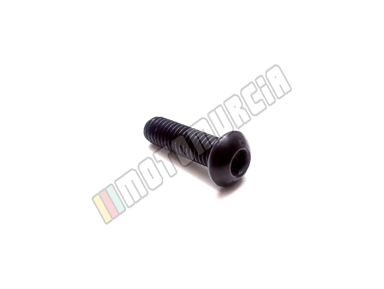 Vis M6x20