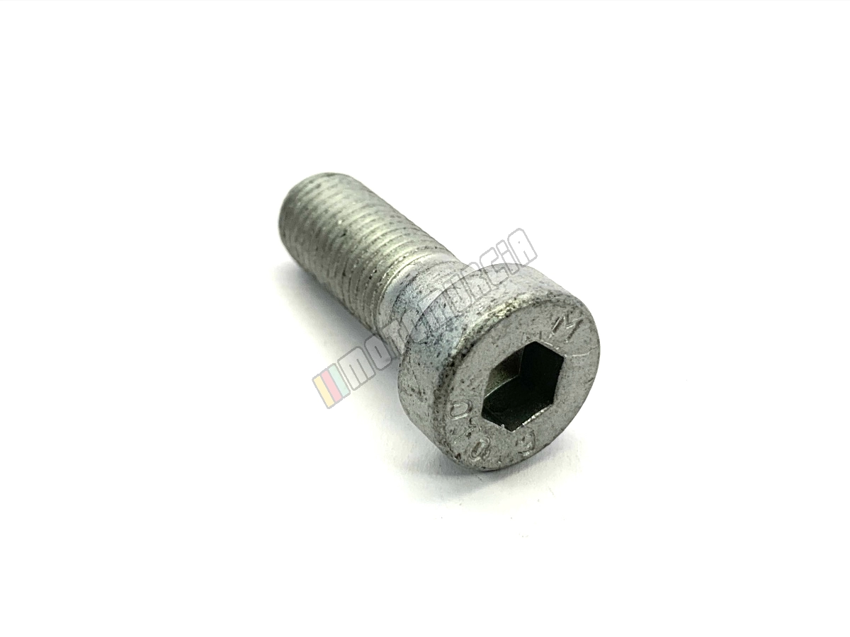 Vis M10x1.25