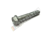 Vis avec bride M10x55