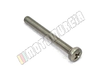 Linsenschraube M5x45