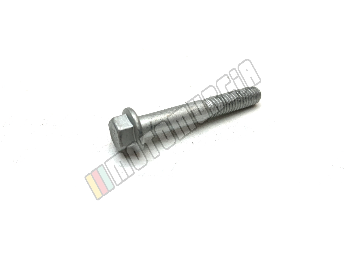Tornillo con bridas