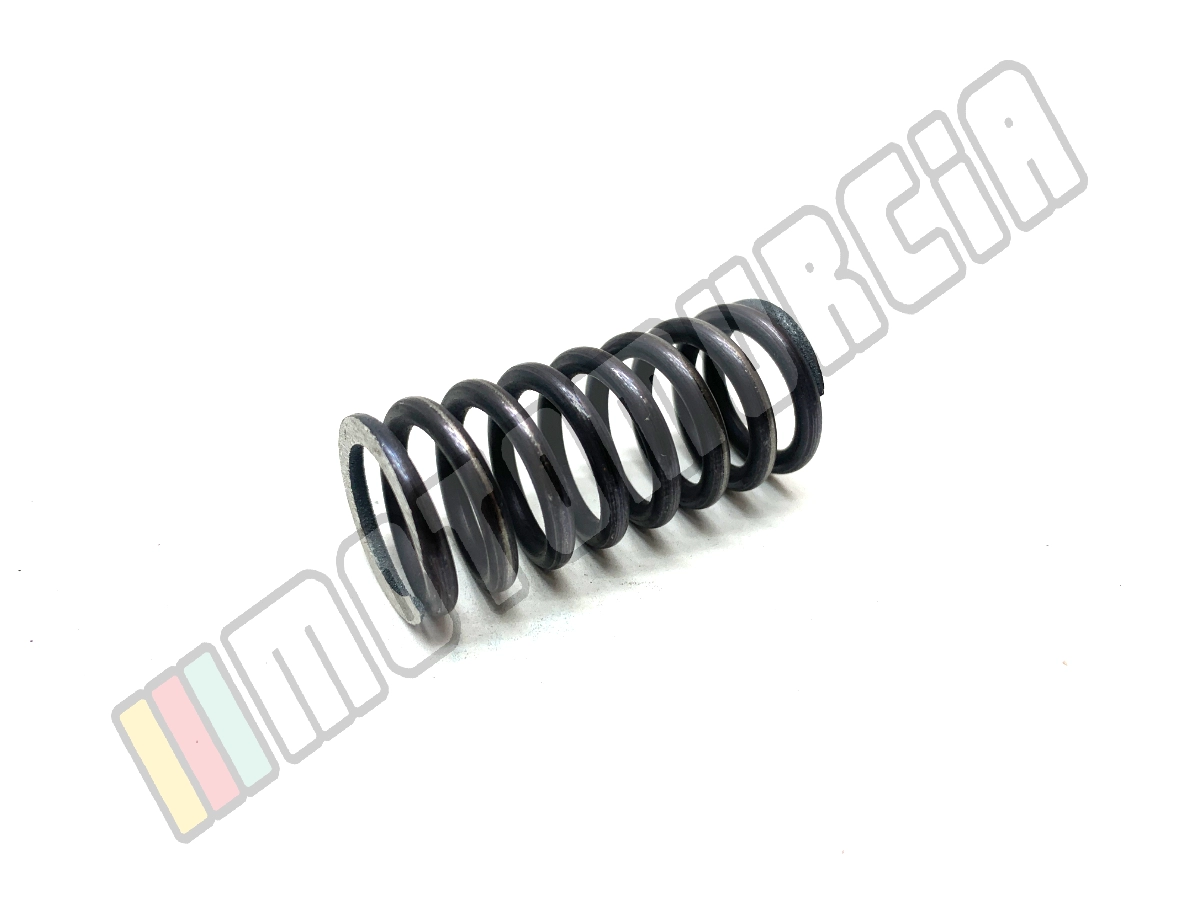 Clutch Spring Eagle