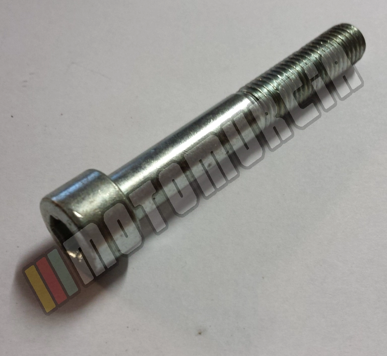 Vis M10x70