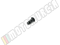 Rivet plastique