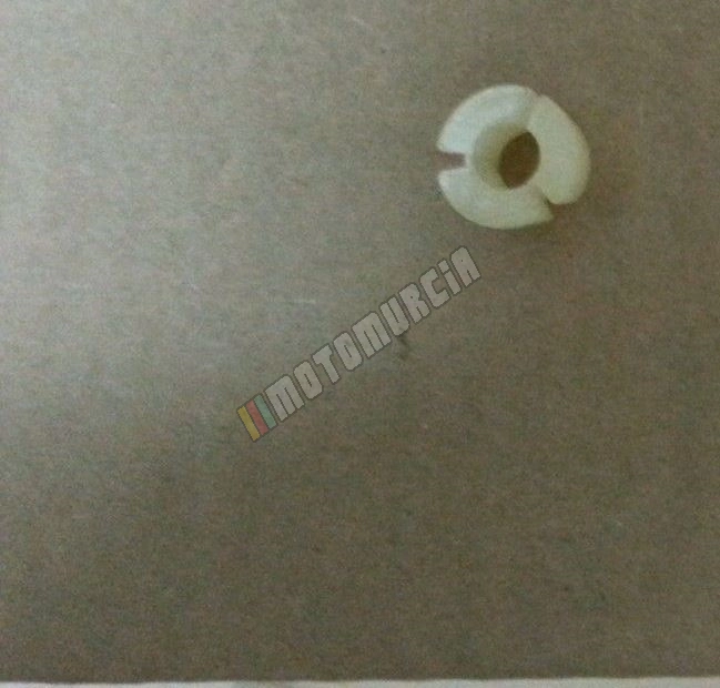 Manica