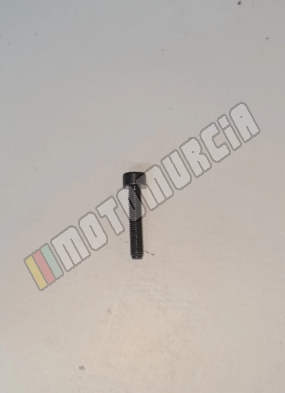 Vis M5x25
