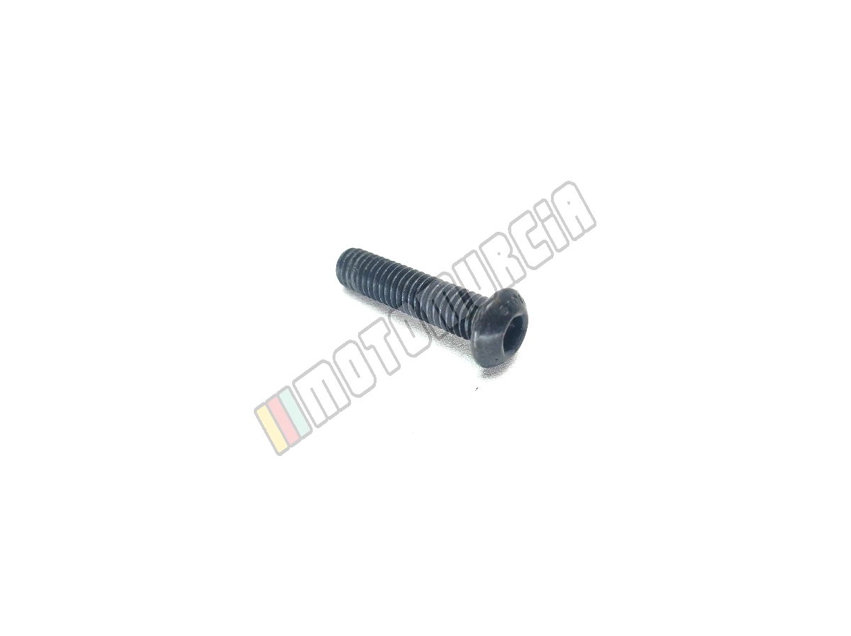 Vis M6x25