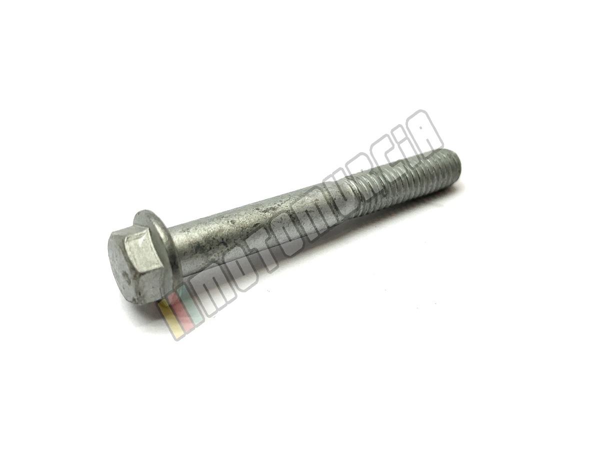 Schraube mit Flansch M6x45