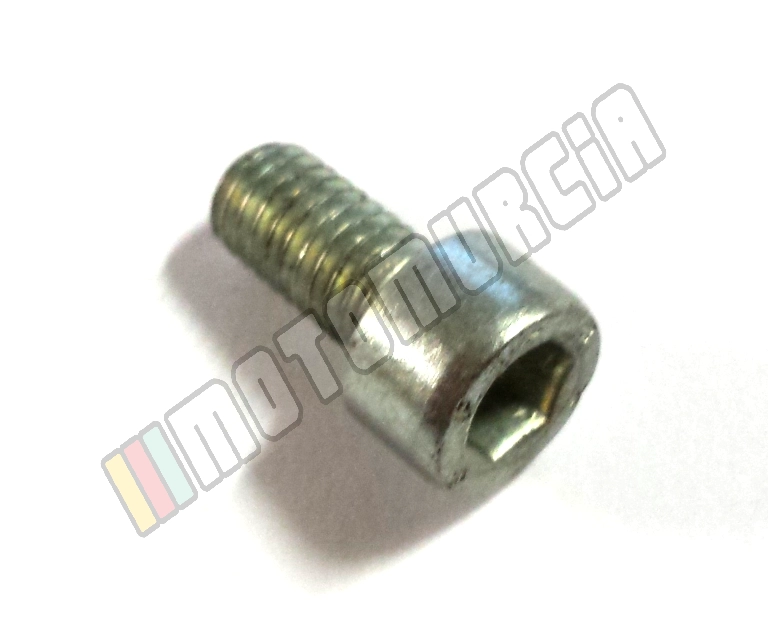 Tornillo M6X10