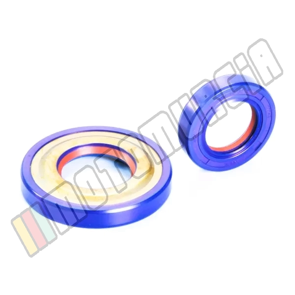 Motor Gasking Ring Set Engine Type: Piaggio