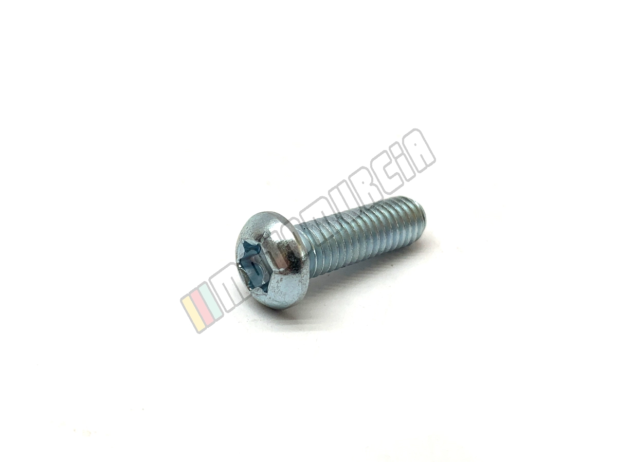 Vis Torx M6x20