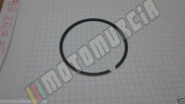 Segment