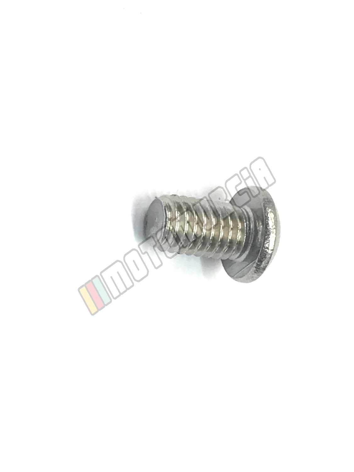 Vis M6x10