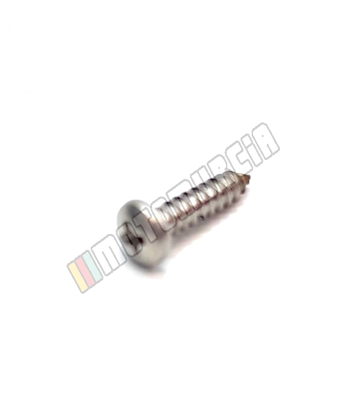 Tornillo de rosca 3,9x16 mm