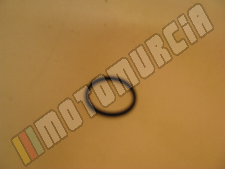 O-Ring