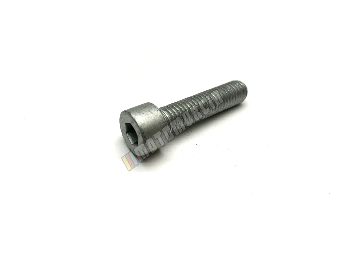 Vis M8x35