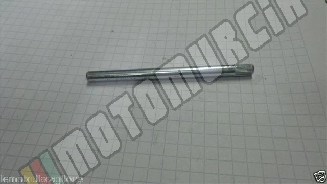 Tenon / pivot