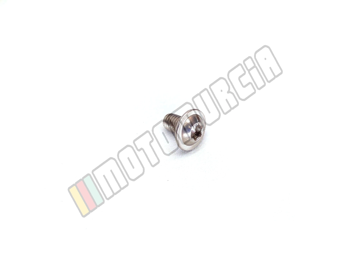 Vis Torx M6x10