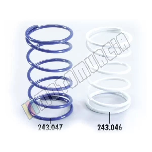 Pressure spring content: 2 pcs