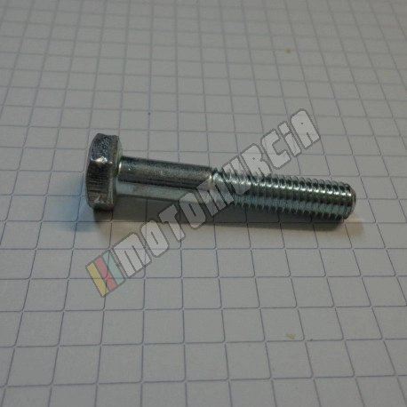 Vis M6x35