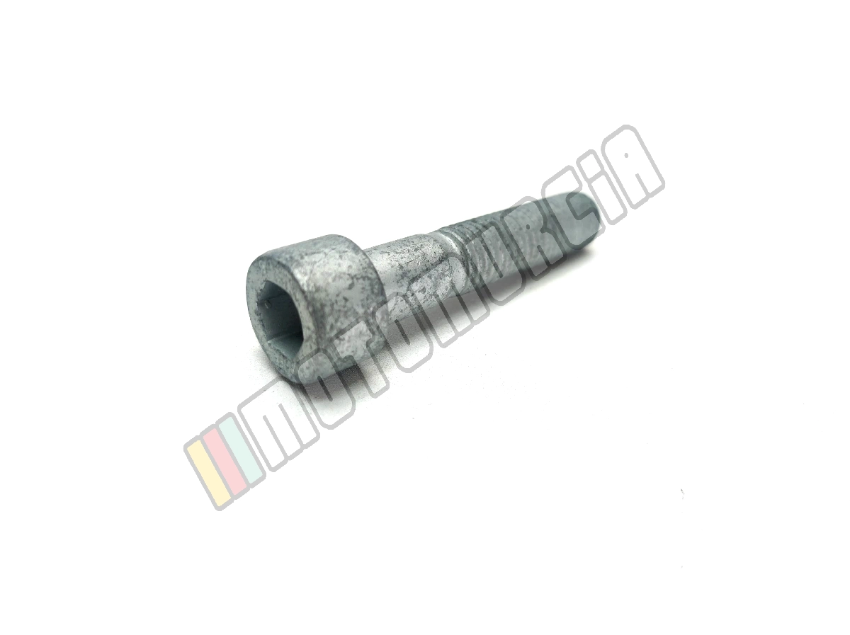 Vis M10x50