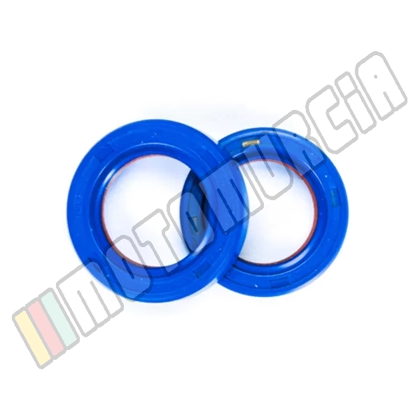 Motor Gasing Ring Set Motortyp: Piaggio