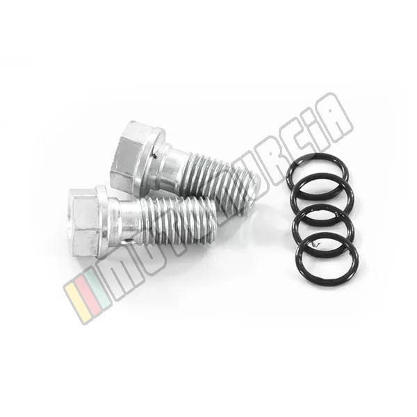 Vis creuse M8X1, contenu: 2 pcs