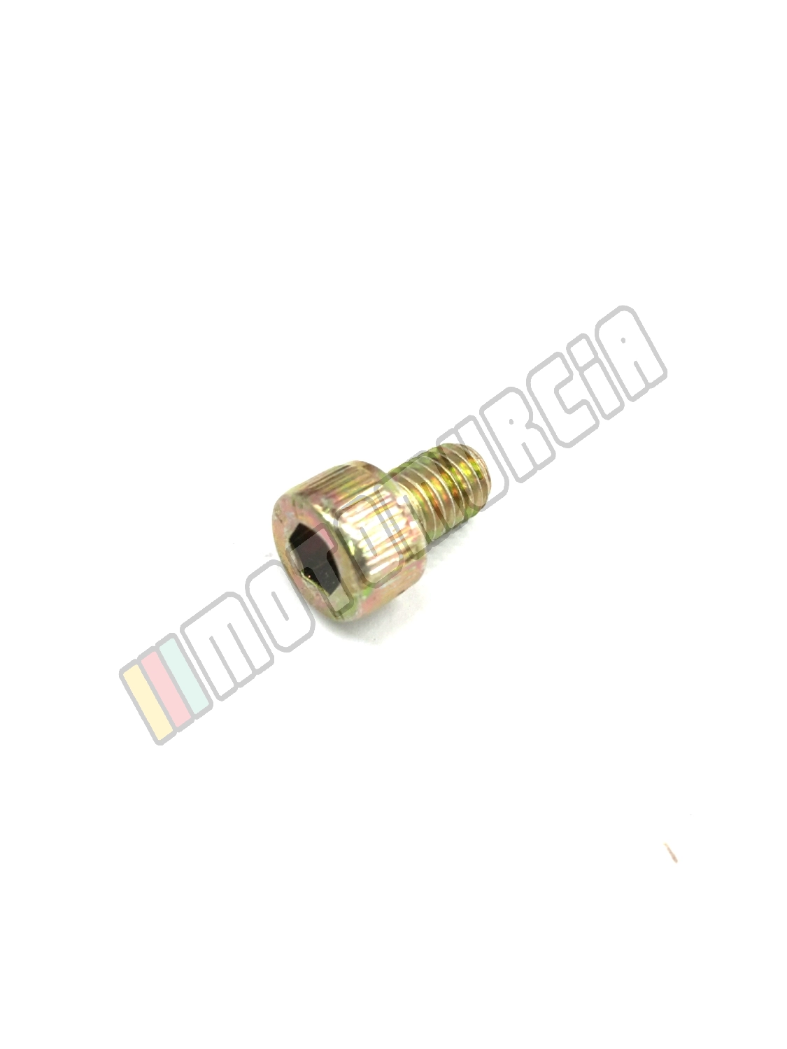 Vis M6x100