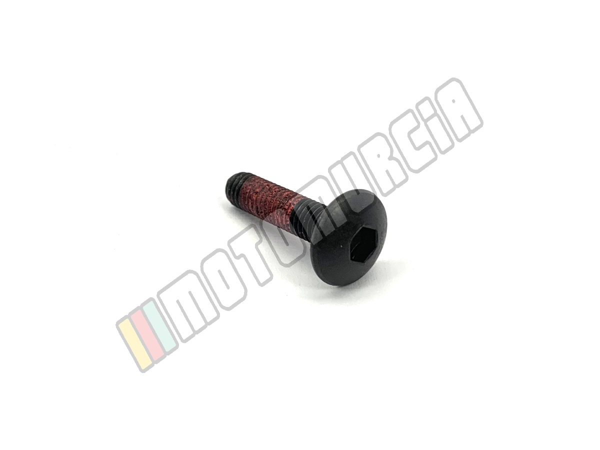 Tornillo
