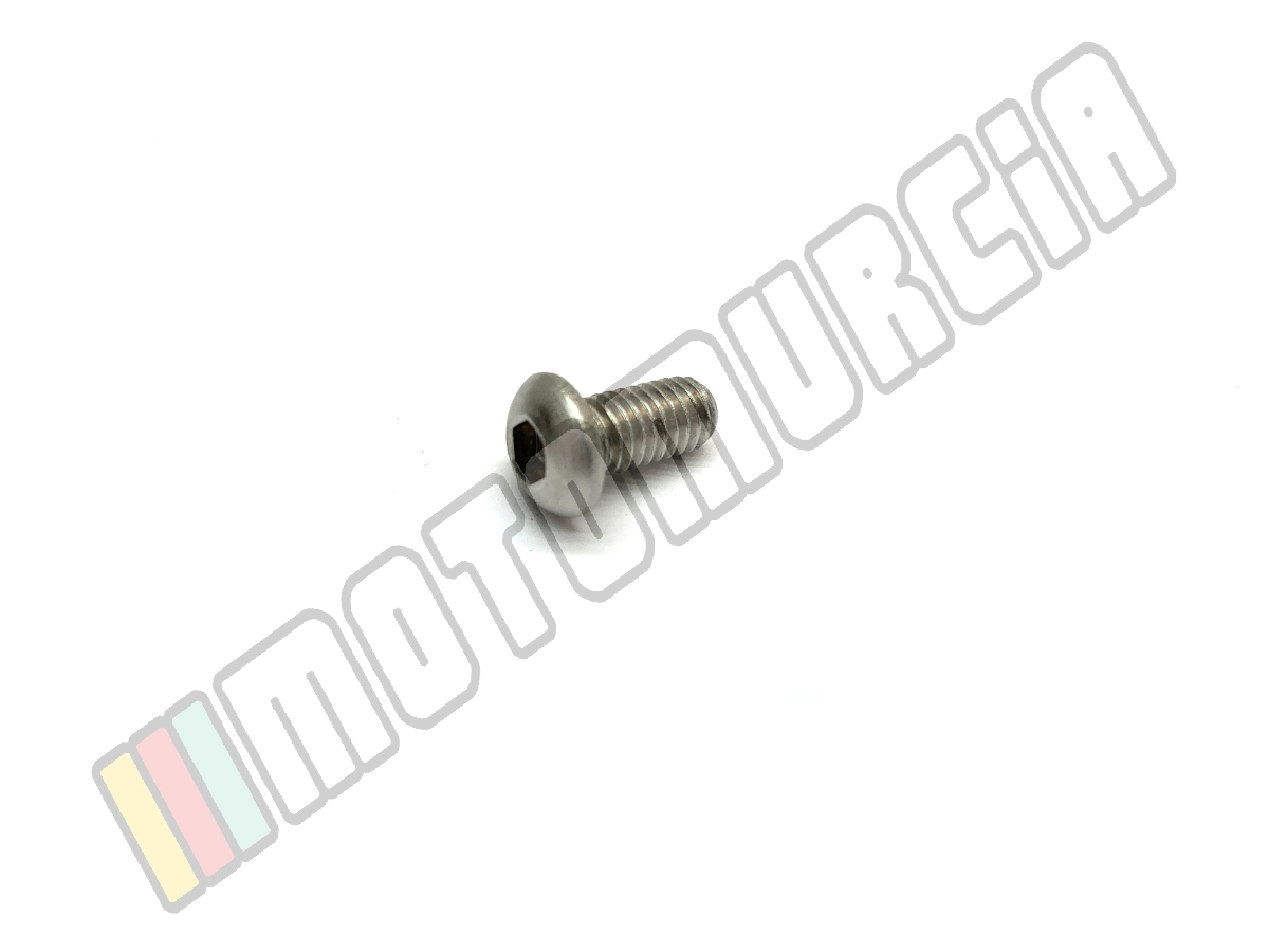 Vis M6x12