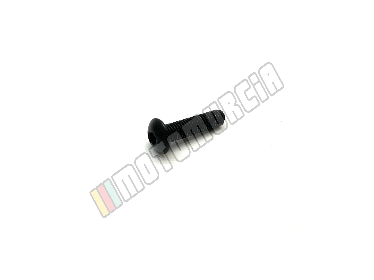Vis M5x20