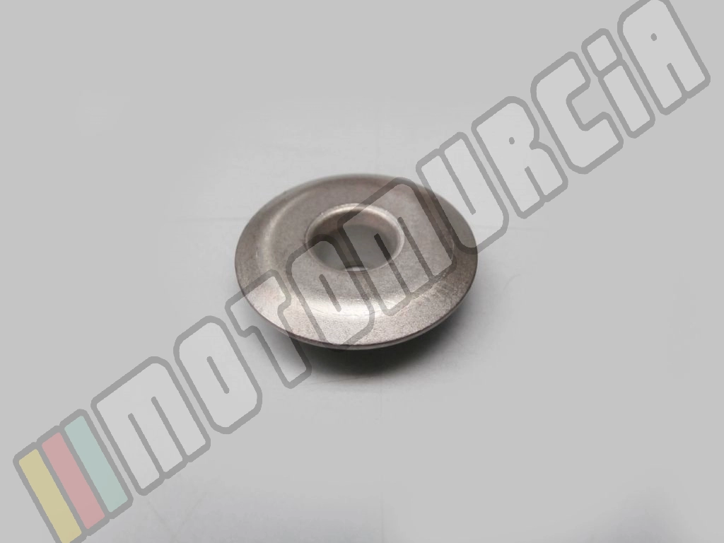 Spring Mount