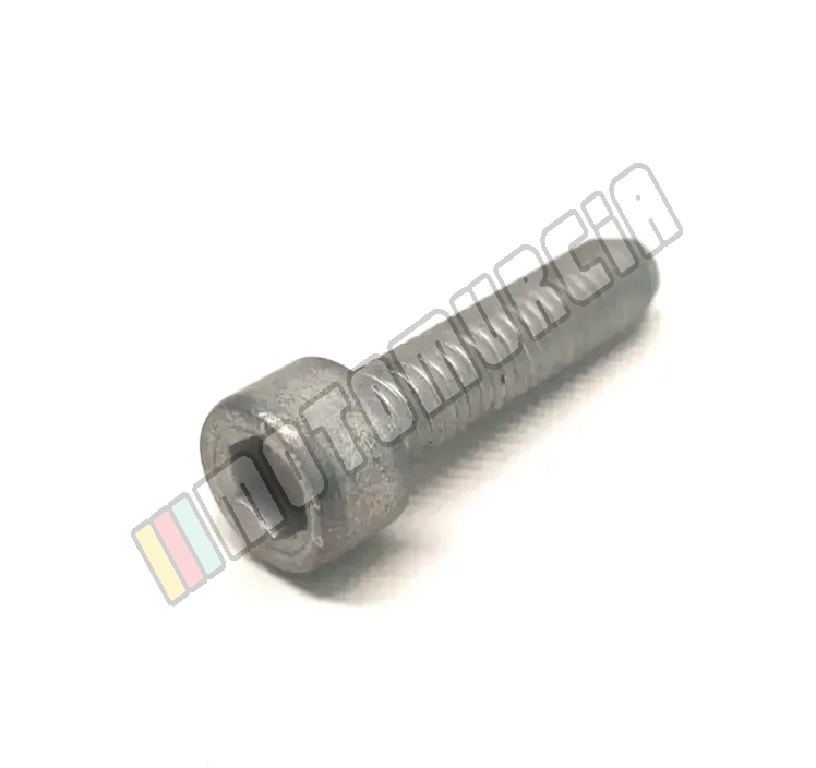 Vis M6x25